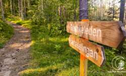 Wegweiser auf der Rönnåslingan Wegweiser auf der Rönnåslingan