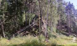 Viel Natur Viel Natur