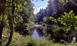 einsame Seen einsame Seen