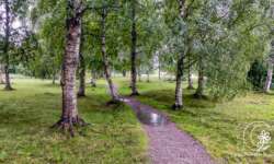 Wanderpfad Wanderpfad