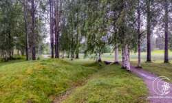 Weg durch den Wald Weg durch den Wald