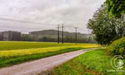 Weg mit Blick Weg mit Blick