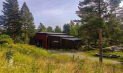 Das Surströmming-Museum Das Surströmming-Museum