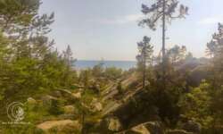 Küstenlinie Küstenlinie