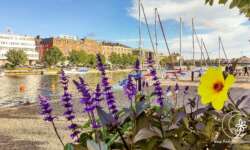 Hafenpromenade Hafenpromenade