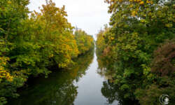 kleiner Kanal kleiner Kanal