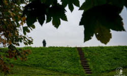 Donau-Damm Donau-Damm