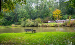 Plätzchen am Ausee Plätzchen am Ausee