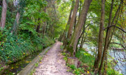 Wanderweg zur Brenzmündung Wanderweg zur Brenzmündung