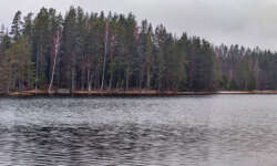 Wald, See, kalt Wald, See, kalt