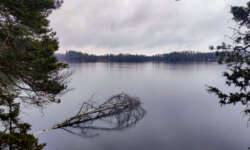 Spuren des Winters Spuren des Winters