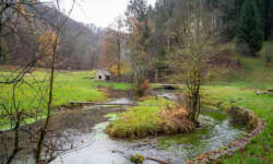 Am Filsursprung Am Filsursprung