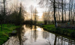 Morgenstimmung in Flandern Morgenstimmung in Flandern