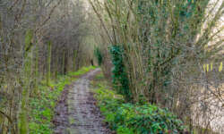 schmale Wege schmale Wege