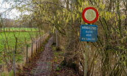 Endlich reine Wanderwege Endlich reine Wanderwege