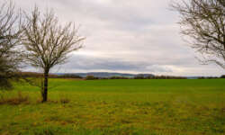 Blick nach Frankreich Blick nach Frankreich
