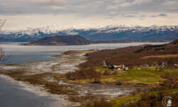 Die Landschaft am Fjord Die Landschaft am Fjord