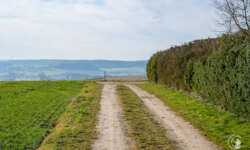 Erste Blicke Erste Blicke