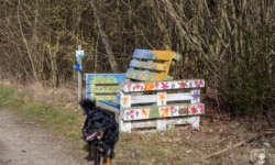 Alpenblick Alpenblick