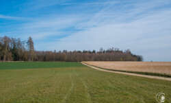 Über die Höhen Über die Höhen