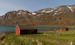 Blicke von der Straße Blicke von der Straße