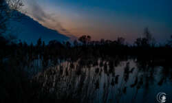 Altmühlsee Altmühlsee