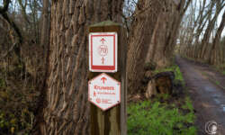 Knotensystem an Flanderns Küste Knotensystem an Flanderns Küste