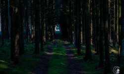 Warten hier die Germanen? Warten hier die Germanen?