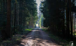 Endlose Wege Endlose Wege