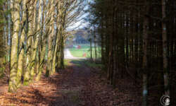 Endlose Wege II Endlose Wege II