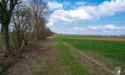 Entlang des Limes Entlang des Limes