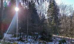 Vorfrühling Vorfrühling