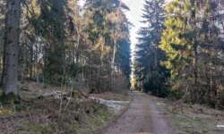 Fortstwege Fortstwege