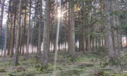 Noch mehr Sonne Noch mehr Sonne