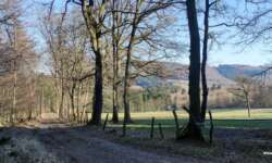 Schöne Wege Schöne Wege