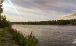 Blick über die Küste Blick über die Küste