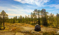 archäologischer Stein archäologischer Stein