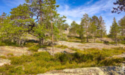 Felsentour Felsentour