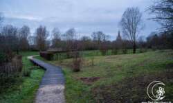 Weg in die Stadt Weg in die Stadt