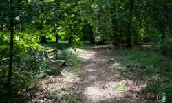 Spaziergang durch den Park Spaziergang durch den Park