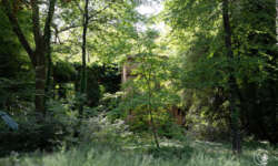 Was schaut da durch den Wald Was schaut da durch den Wald