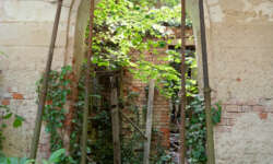 Blick ins verfallene Innere Blick ins verfallene Innere