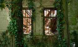 Durchs Fenster schauen Durchs Fenster schauen