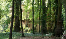 Erster Blick aufs Herrenhaus Erster Blick aufs Herrenhaus