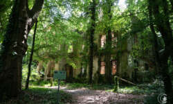 Inmitten des Parks Inmitten des Parks