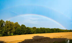 Regenbogen in der Oberpfalz Regenbogen in der Oberpfalz