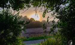 Morgenstunde Morgenstunde