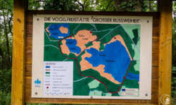 Infotafel Rußweiher Infotafel Rußweiher