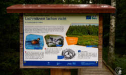 Waldlehrpfad Waldlehrpfad