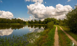 Durch die Teiche Durch die Teiche